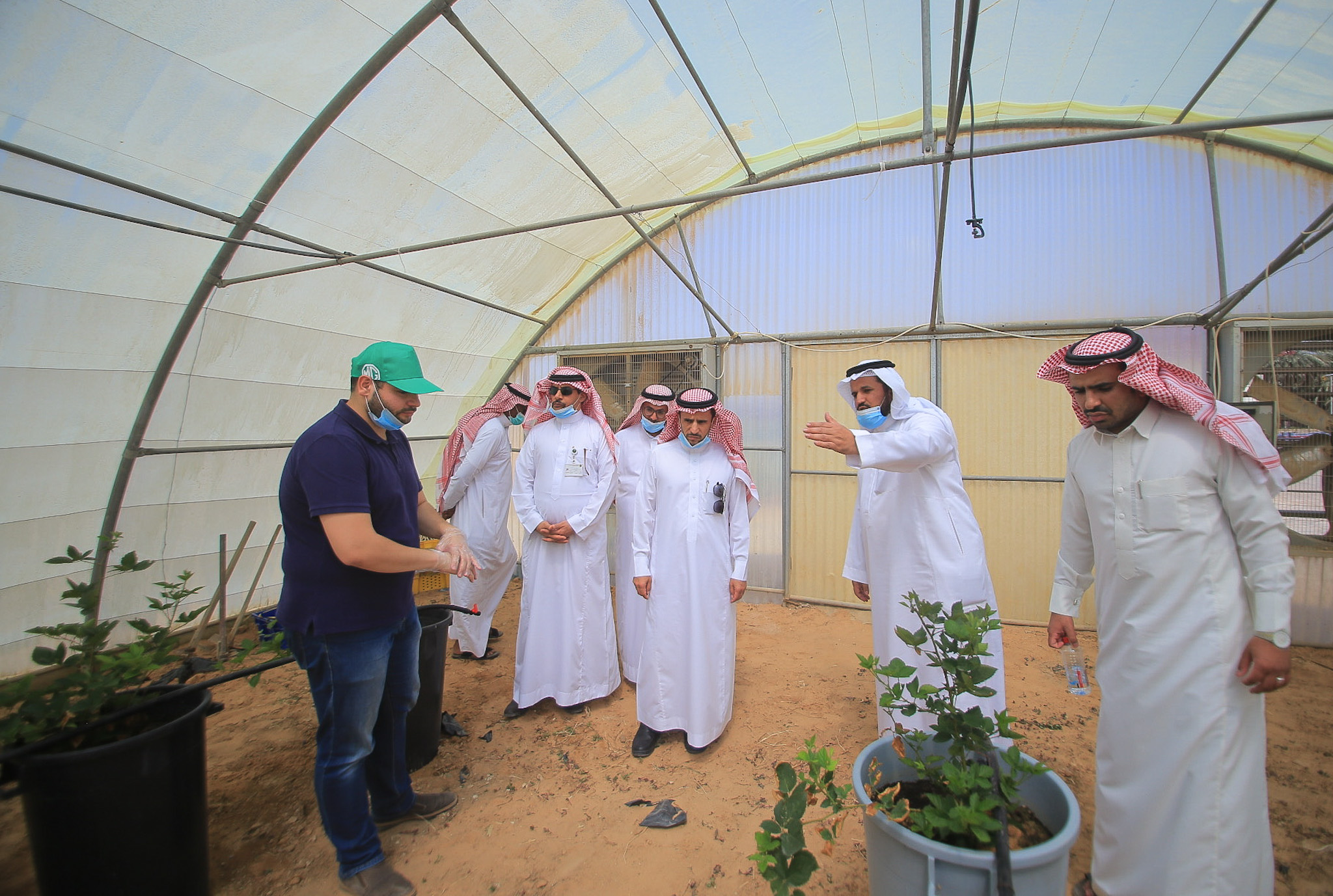 IMG_0645 مدير عام فرع وزارة البيئة والمياه والزراعة بالقصيم يزور مكتب البكيرية