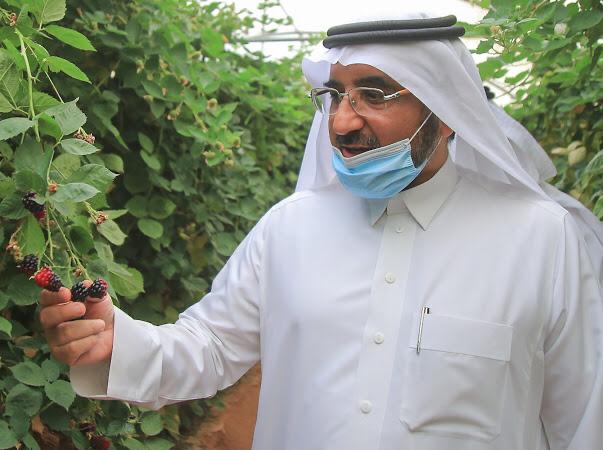 a5b873b0-69fc-4f6a-ba67-0c37f0a24f7e المدير التنفيذي لمصرف الإنماء يطلع على معالم البكيرية التراثية والتنموية